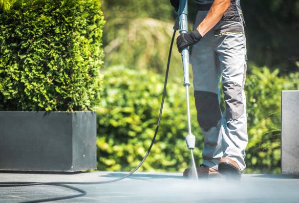 Animal Enclosure Cleaning in Suncoast Estates, FL